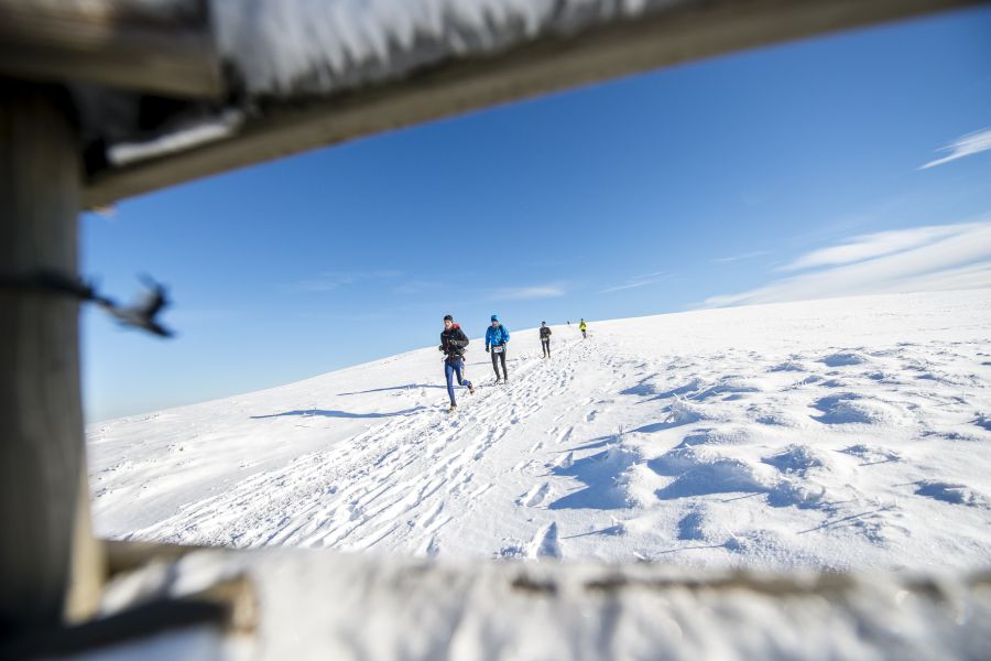 Trail_Hivernal_Sancy-2015_EZYSHOES-RCRESPEAU_DSC6399